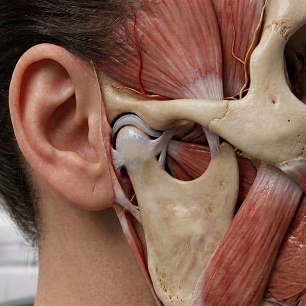 Profissional de saúde com paciente em consulta médica